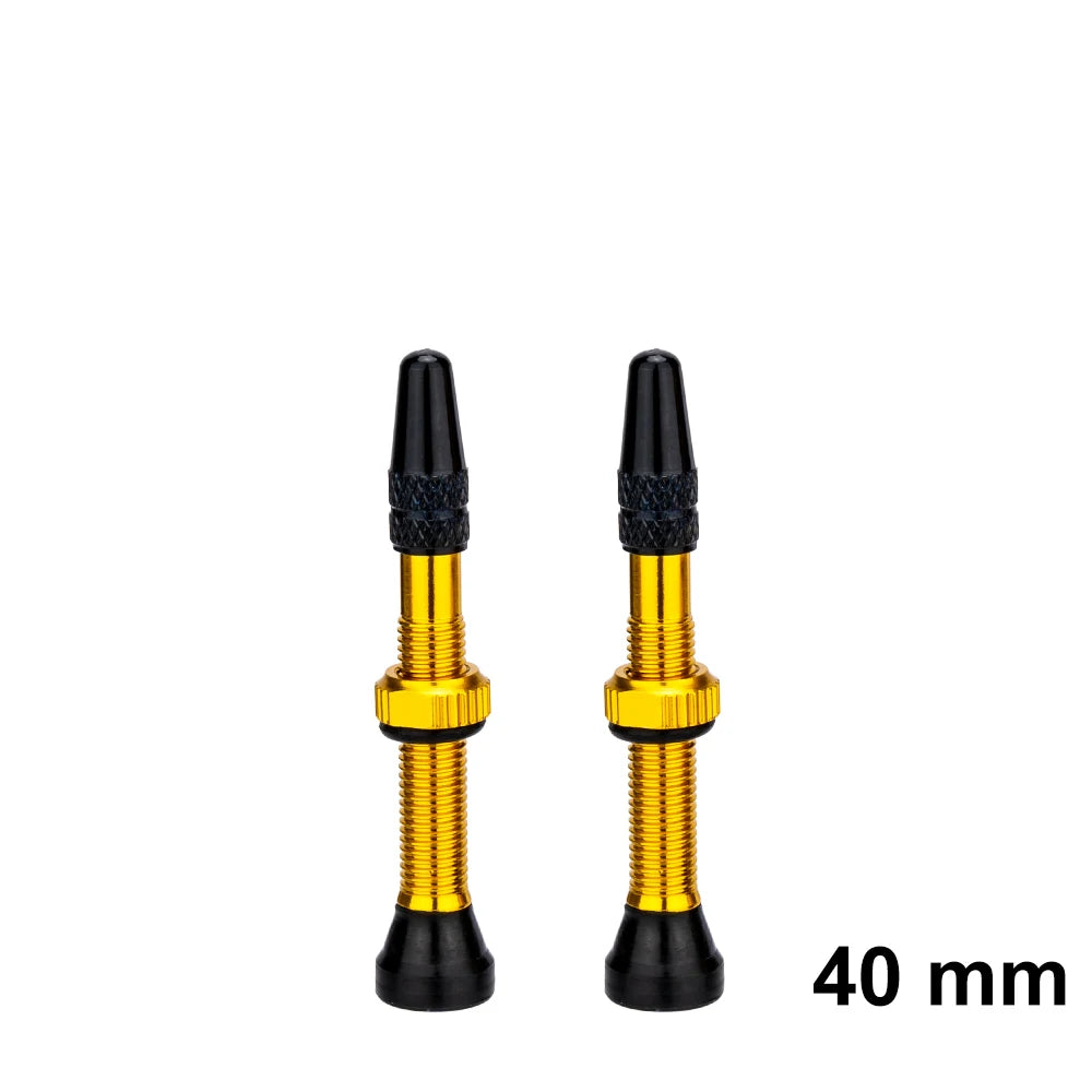 ZTTO Bicycle Tubeless Valves Stems 60mm Presta 40mm No Tubes FV With Integrated Valve Core for Road bike MTB Tire