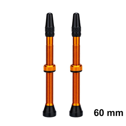 ZTTO Bicycle Tubeless Valves Stems 60mm Presta 40mm No Tubes FV With Integrated Valve Core for Road bike MTB Tire