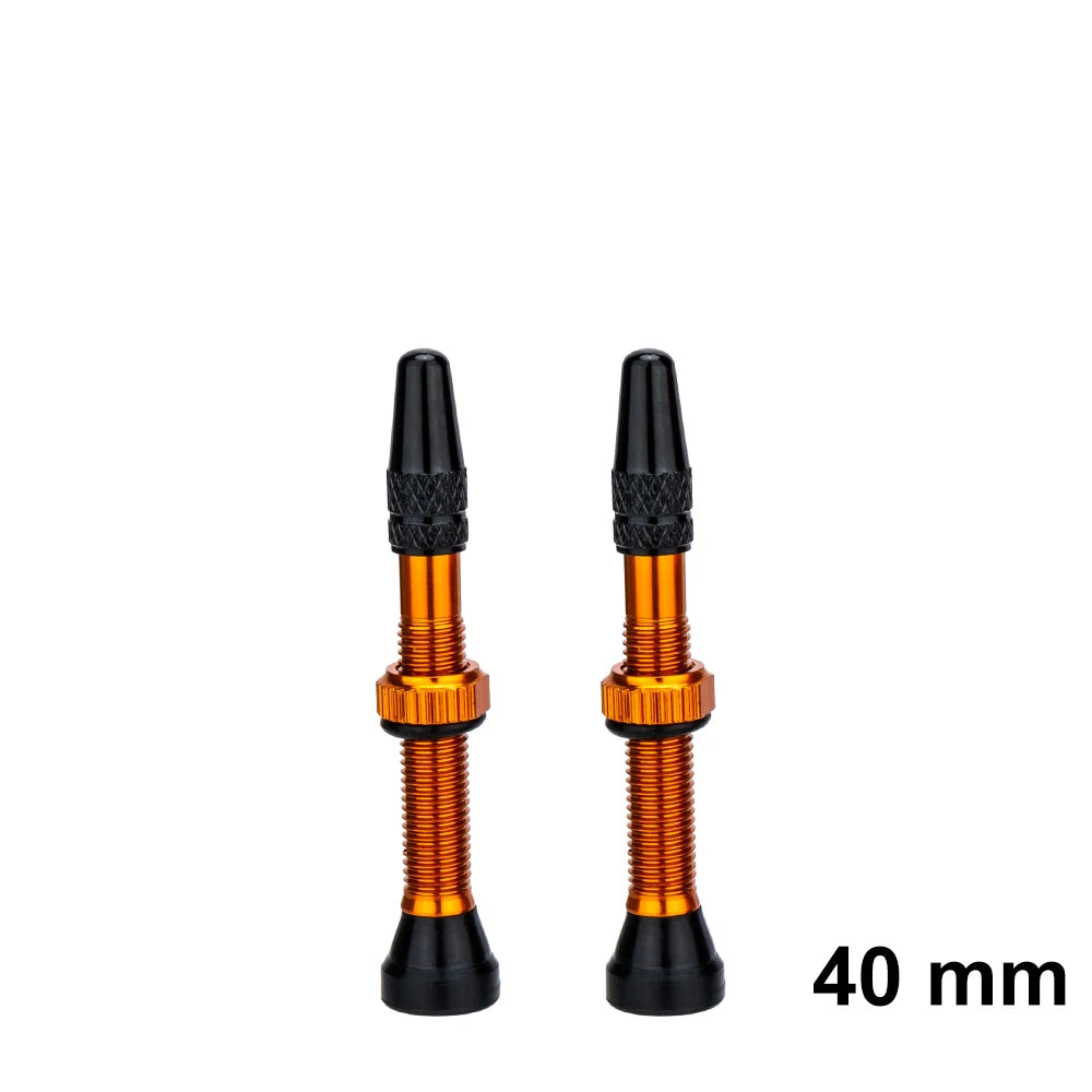 ZTTO Bicycle Tubeless Valves Stems 60mm Presta 40mm No Tubes FV With Integrated Valve Core for Road bike MTB Tire