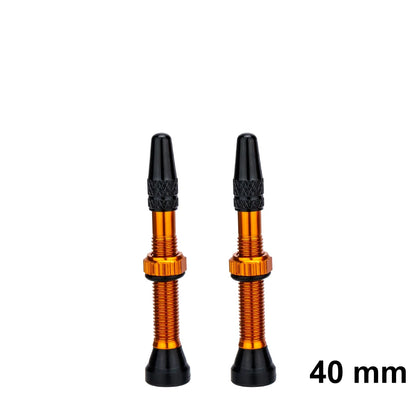 ZTTO Bicycle Tubeless Valves Stems 60mm Presta 40mm No Tubes FV With Integrated Valve Core for Road bike MTB Tire