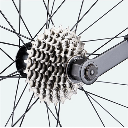 CYCLISTS Cassette Lockring Removal Tool